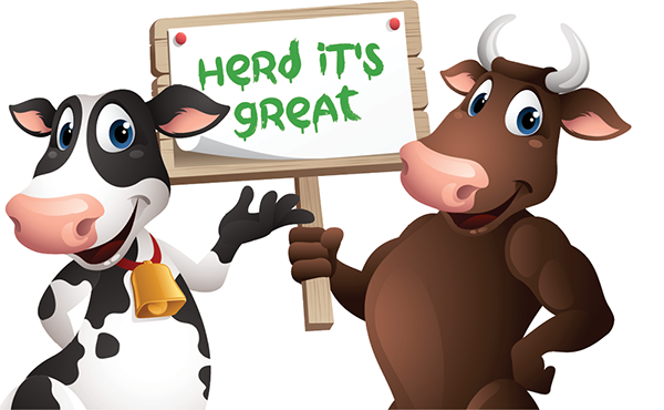 Herd it's great